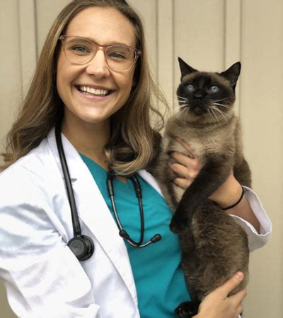 tudor vet clinic